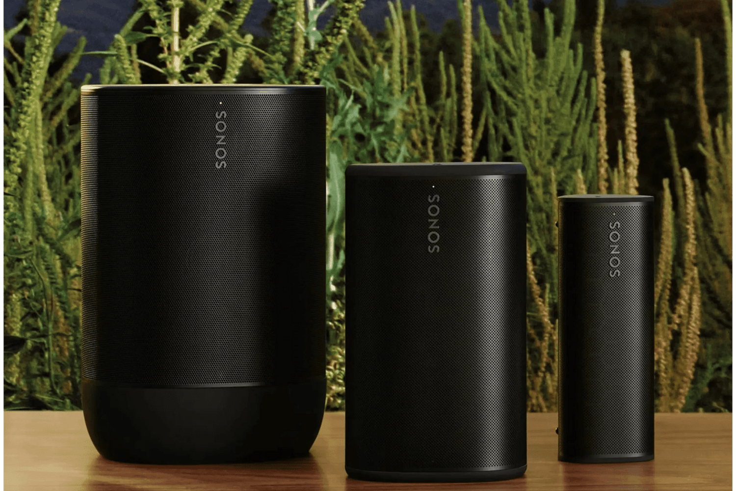 Sonos Play, Move 2 o Roam 2