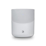 Bluesound Pulse M