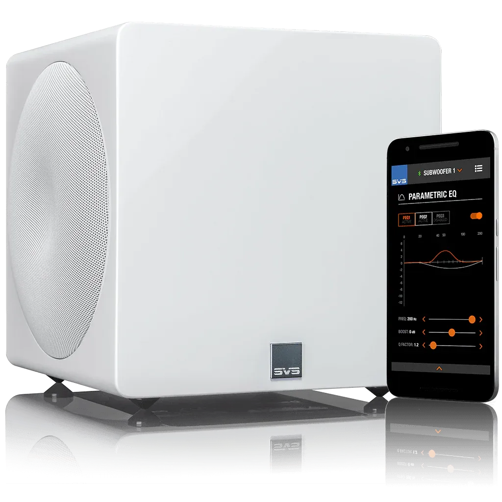 SVS 3000 Micro R|Evolution