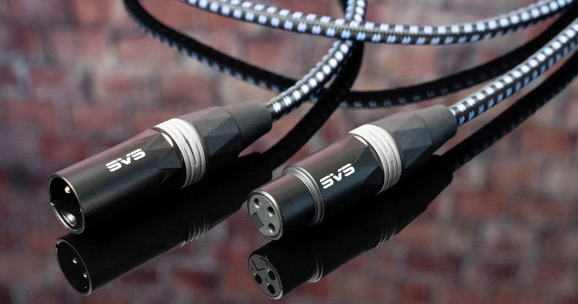 SVS SoundPath XLR