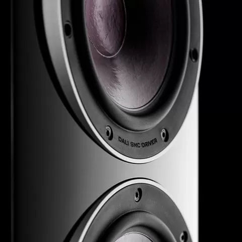 Dali Rubicon 6