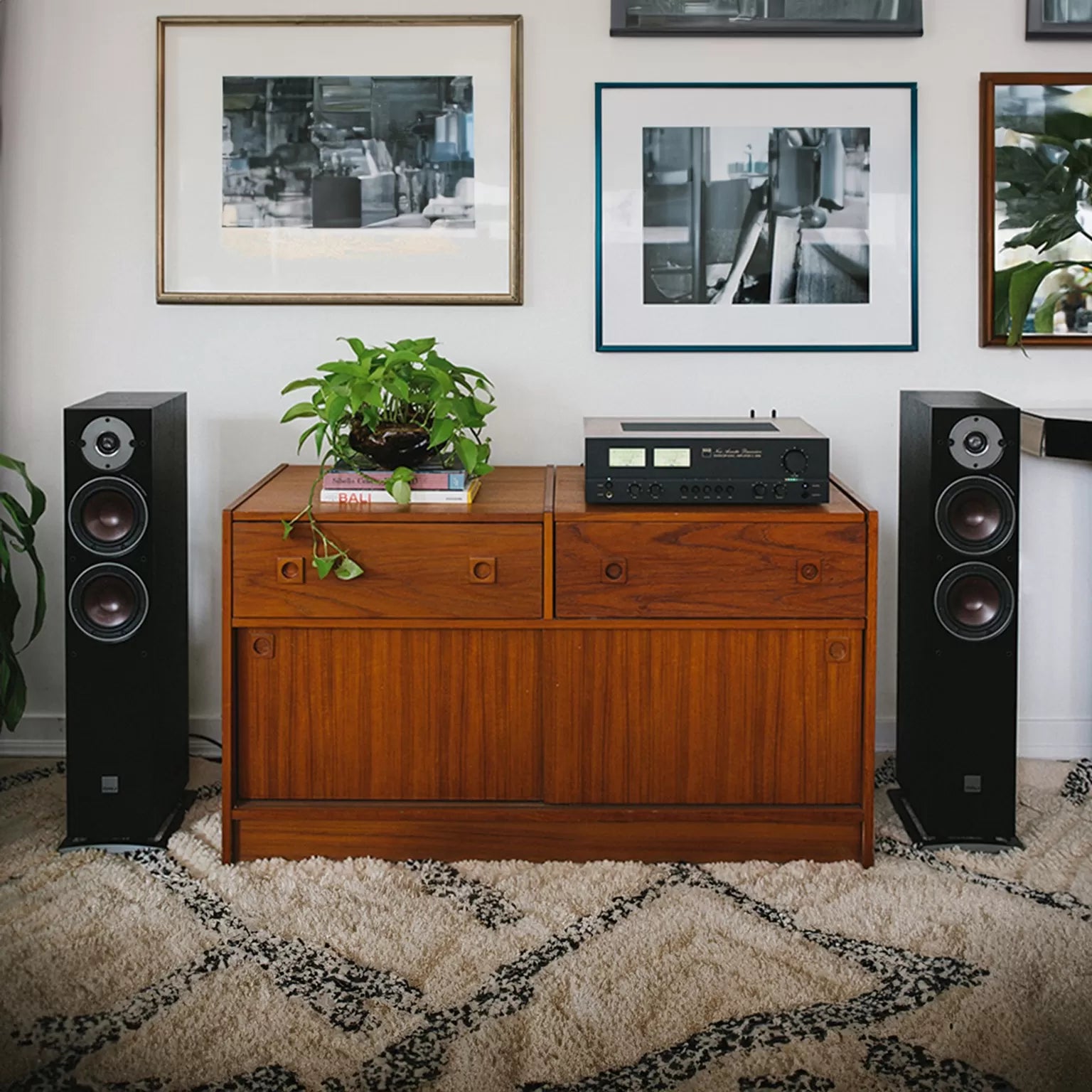 NAD C 3050