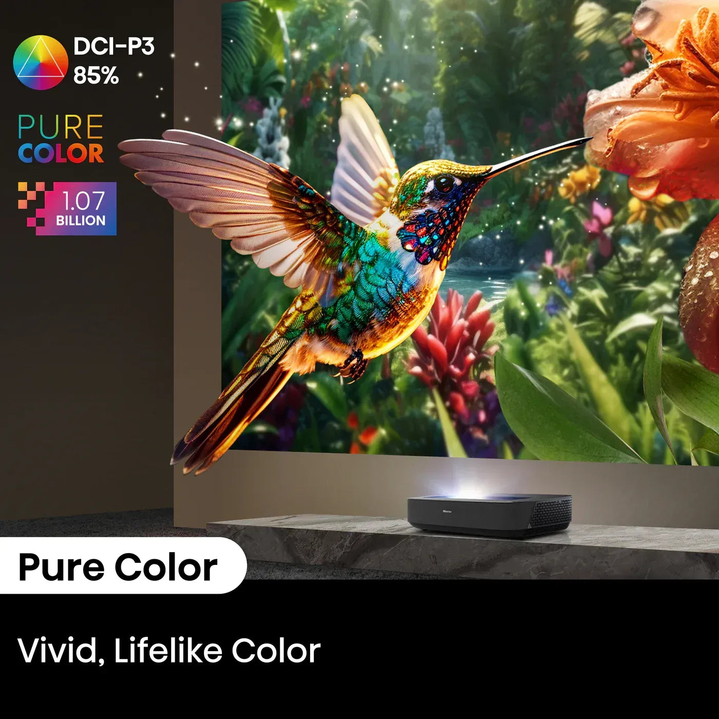 Hisense PL2