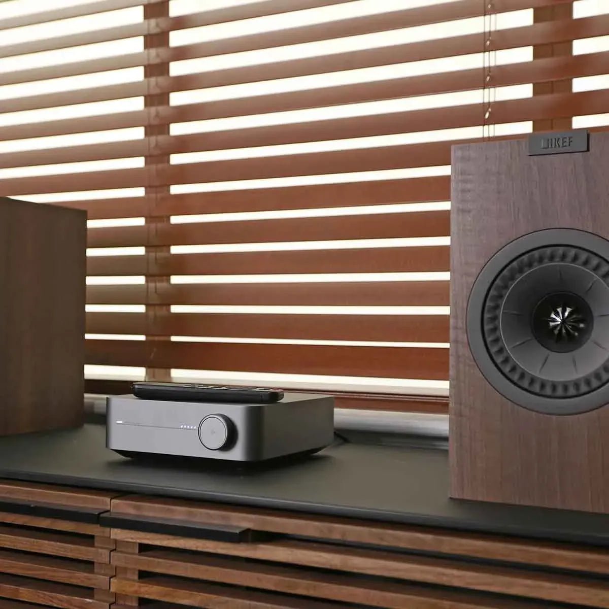 WiiM Amp Pro - Amplificatore Integrato