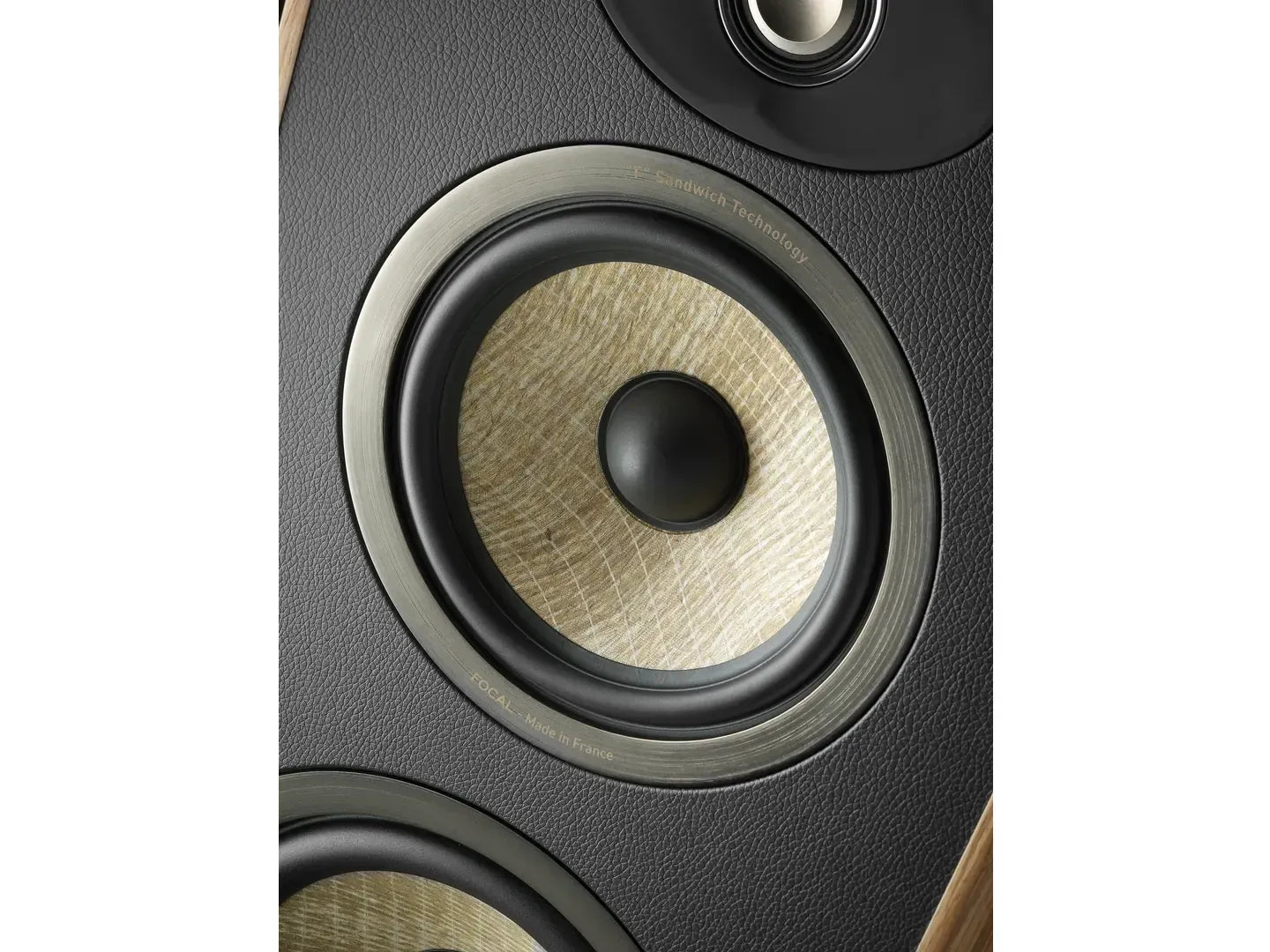 Focal Evo X N°2 - Diffusori da pavimento
