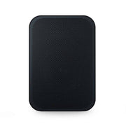 Bluesound Pulse Flex 2i - simple