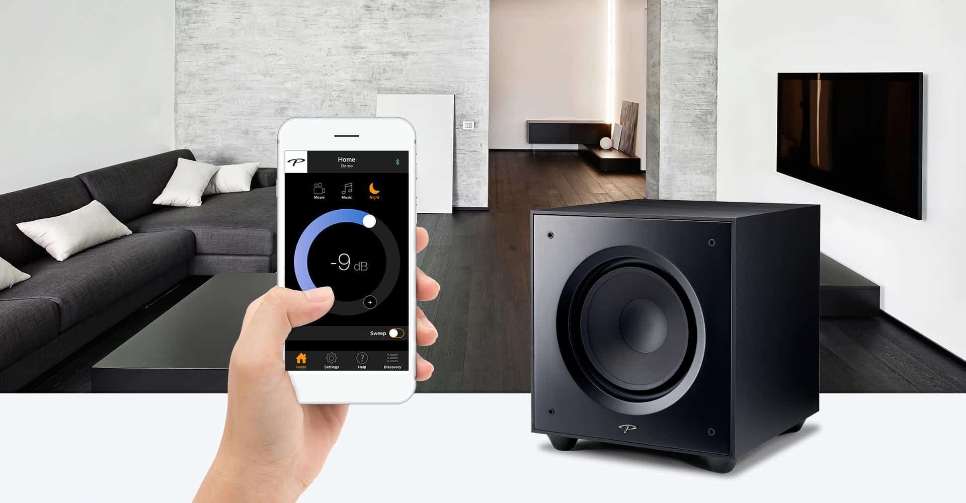 Paradigm Defiance X15 - Subwoofer